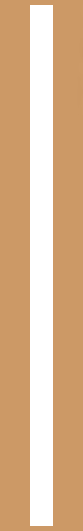 columna