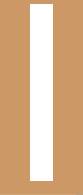 columna